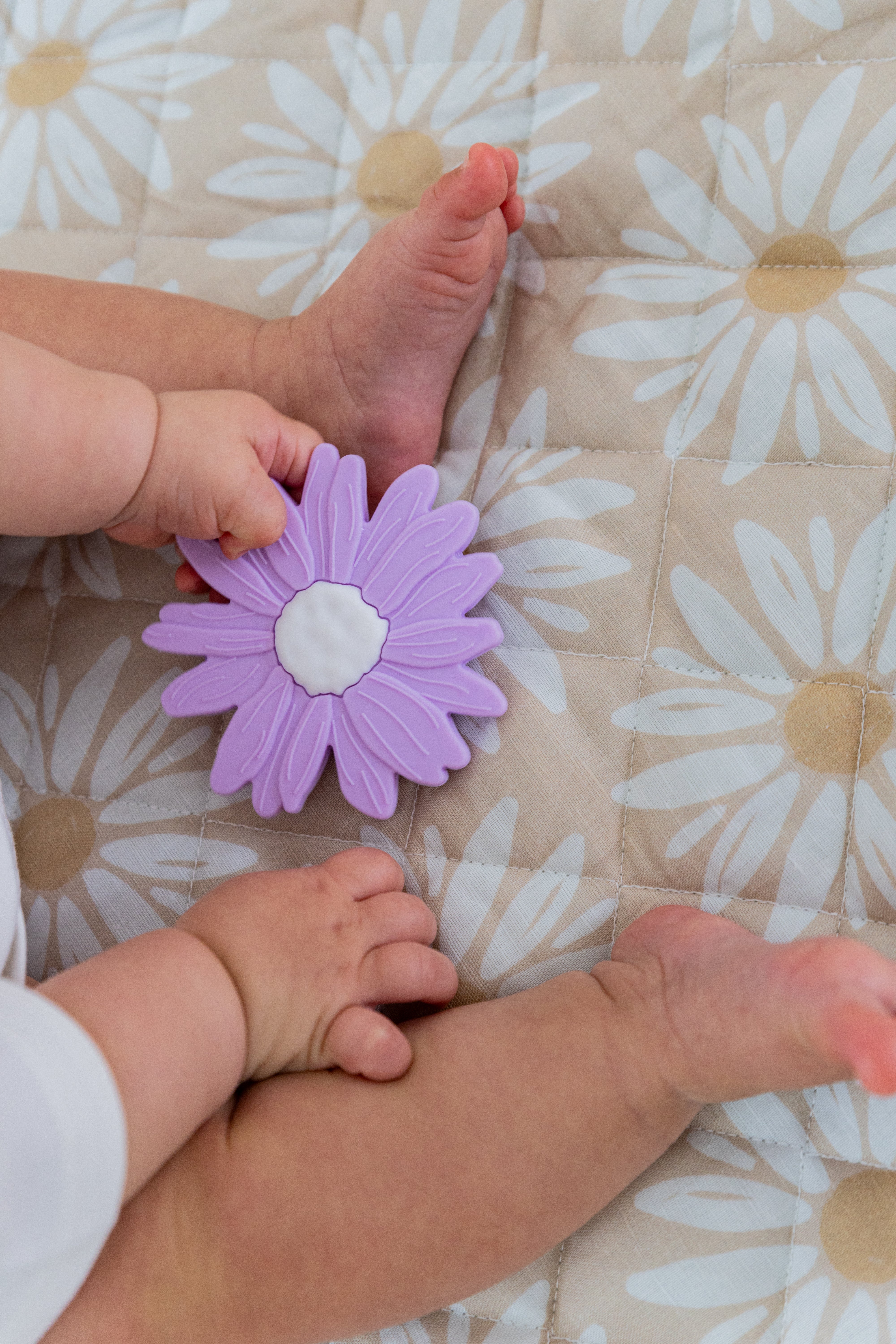 Silicone Teether - Lilac Daisy