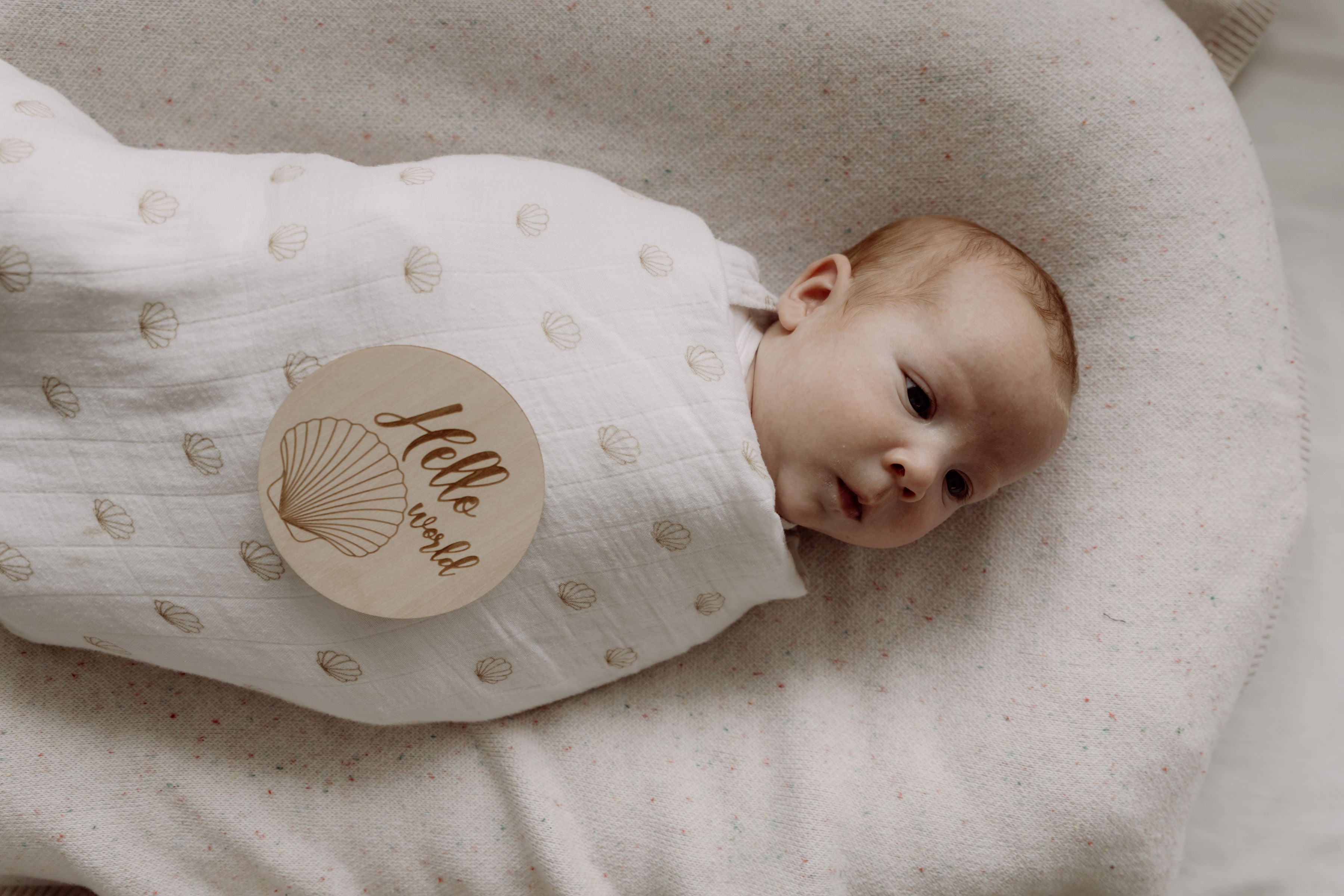 Baby Milestone Discs - Seashell