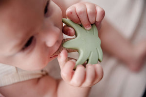 Silicone Teether - Sage Palm Tree